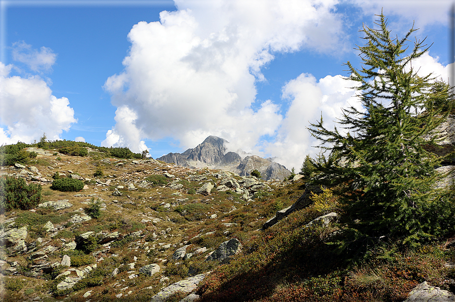 foto Da Passo 5 Croci alla Forcella Magna